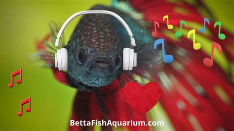 Do Better Fish Like Music? An Insightful Exploration into the Unknown Realm