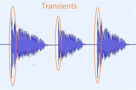 What Is a Transient in Music: Eluding Capture and Embracing Change